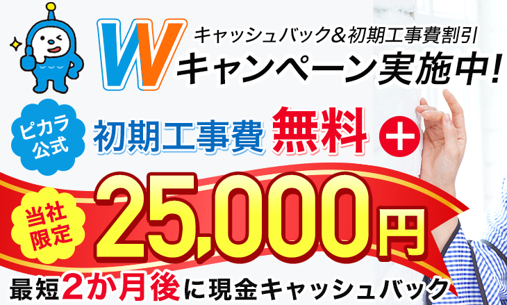 ピカラ光の評判と6つのメリットや3つのデメリット 四国民は得するよ ネットヒカリ